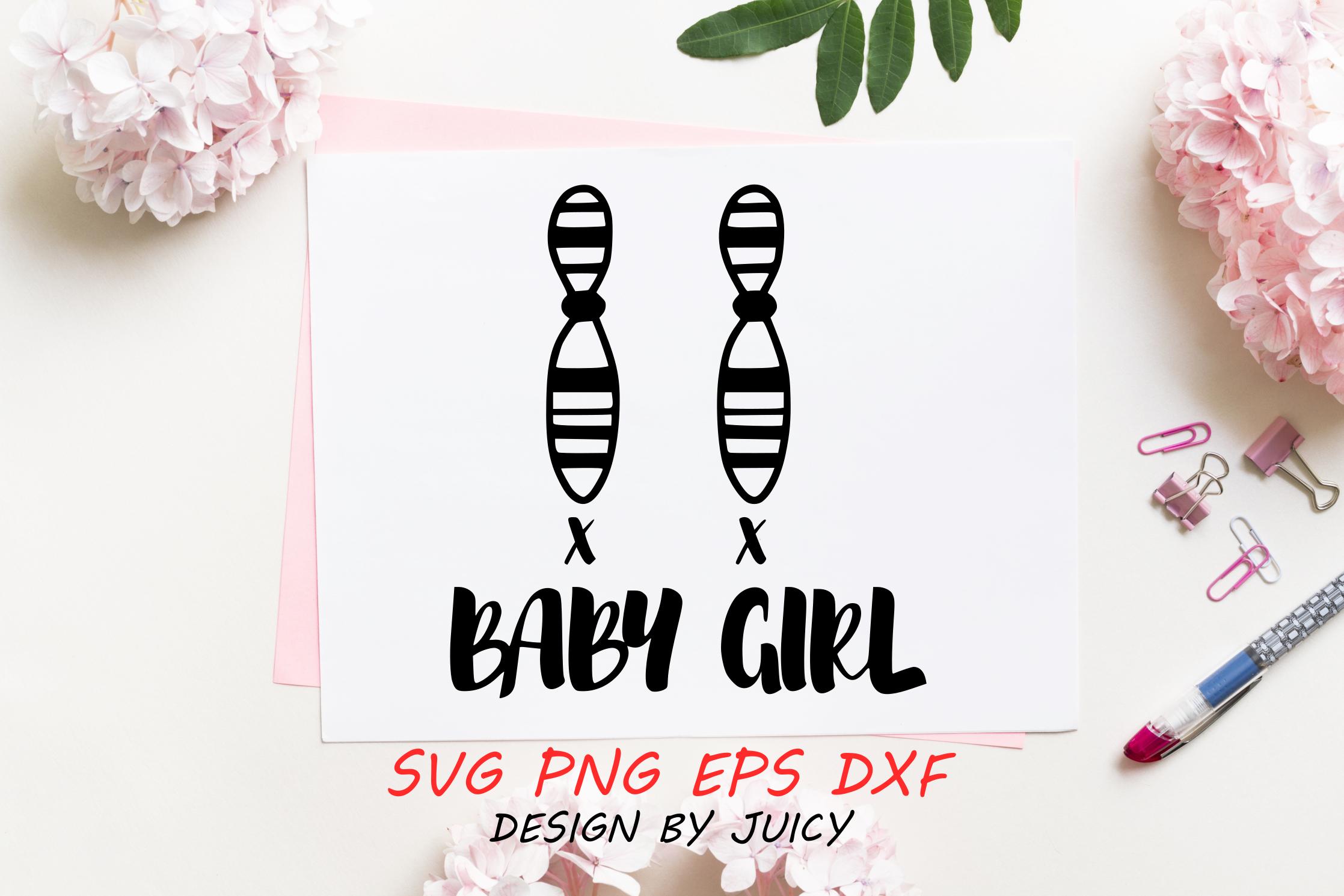 Baby Girl Chromosome XX, Gender Reveal