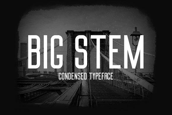 Big Stem Font
