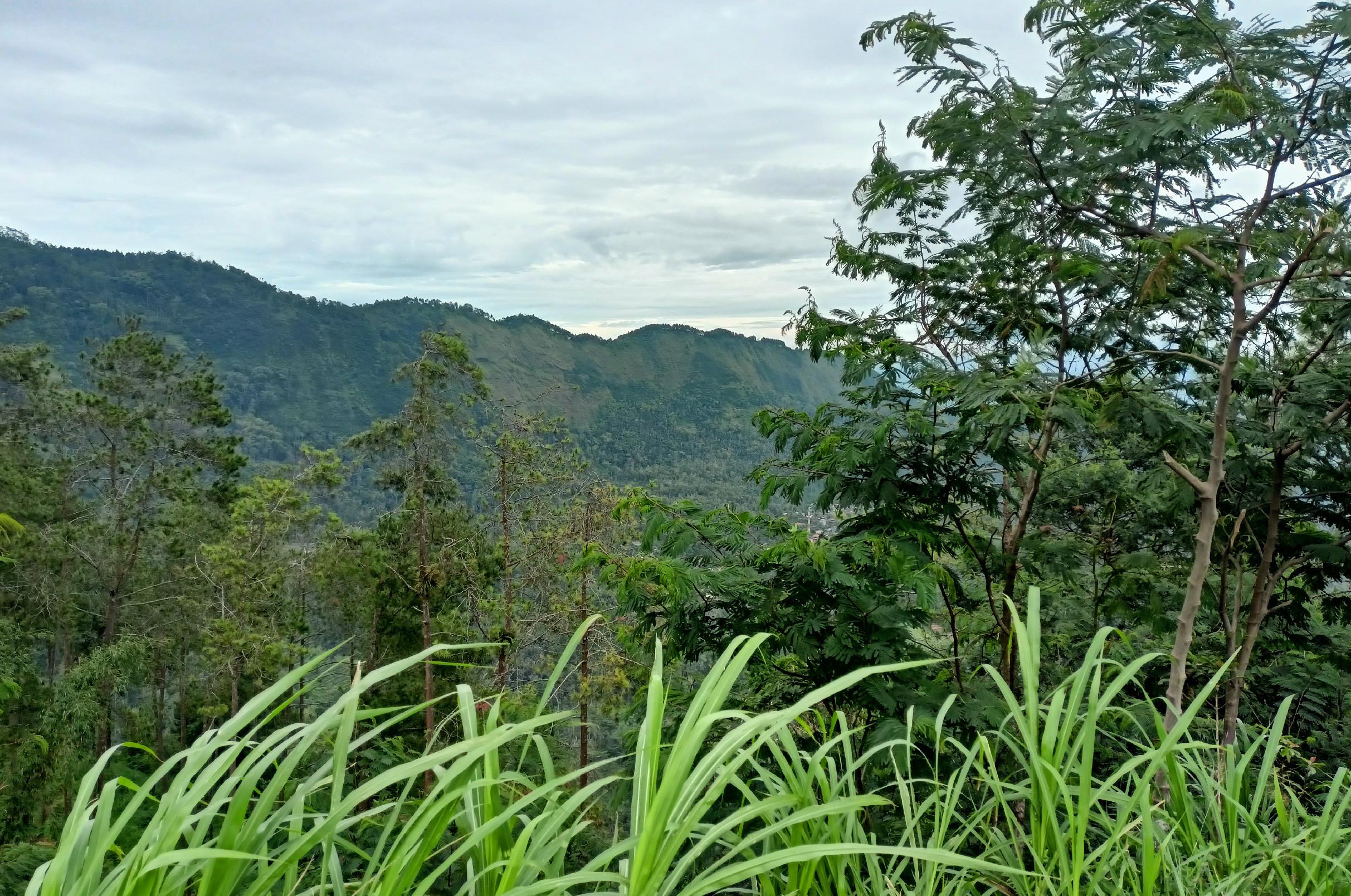 Landscape Photo