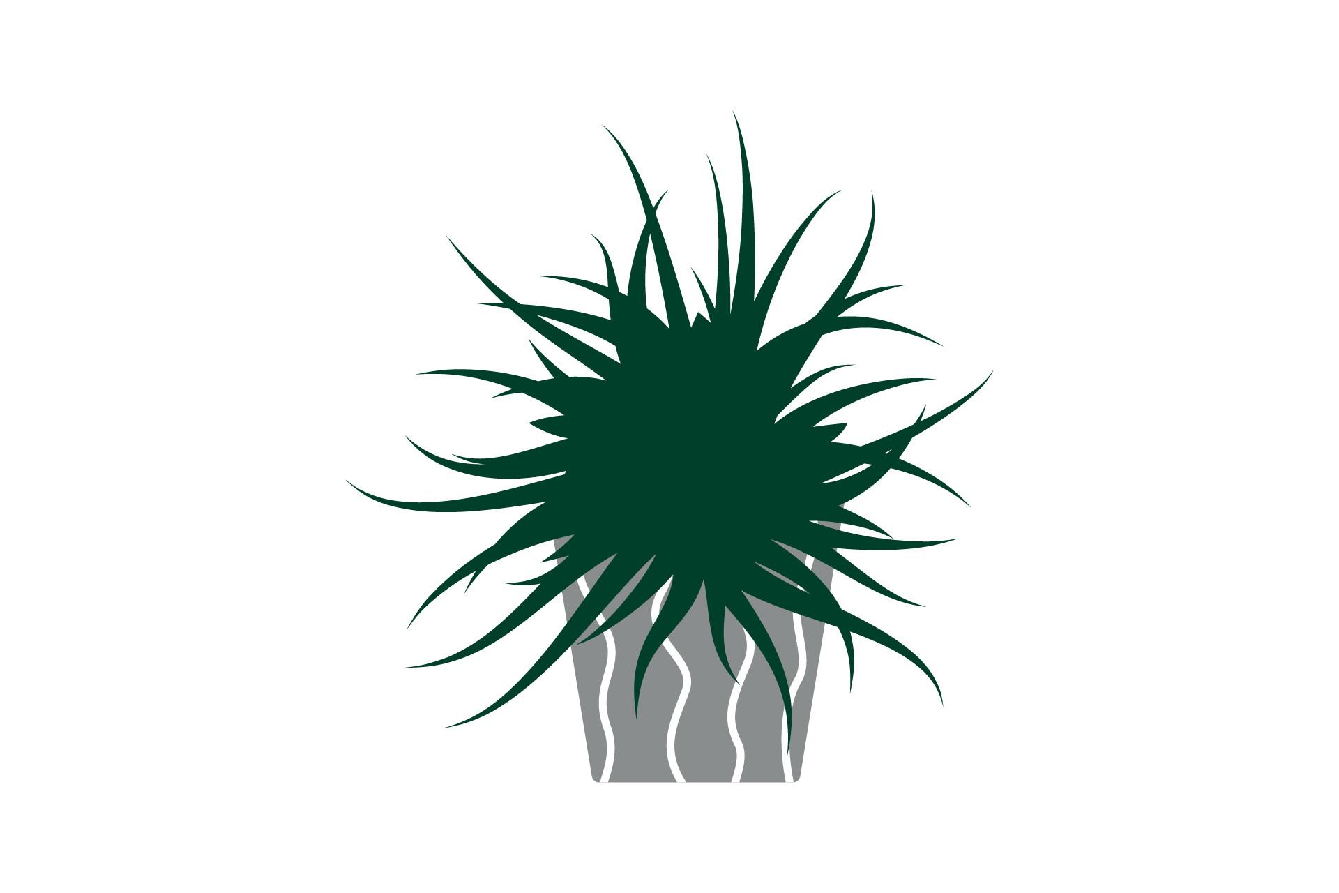 Plant Botany Exotic