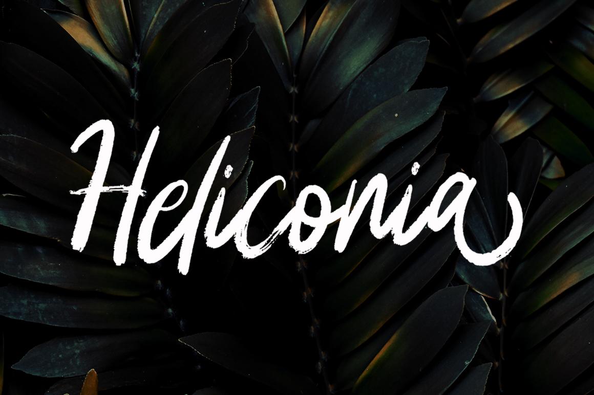 Heliconia Font