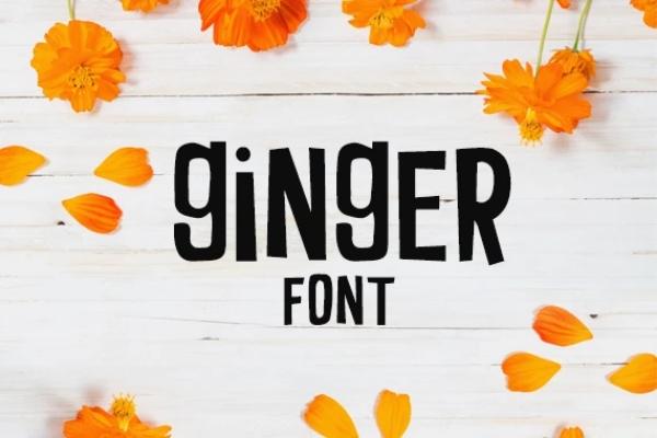 Ginger Font