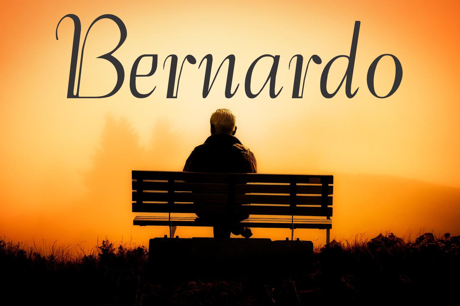 Bernardo Family Font