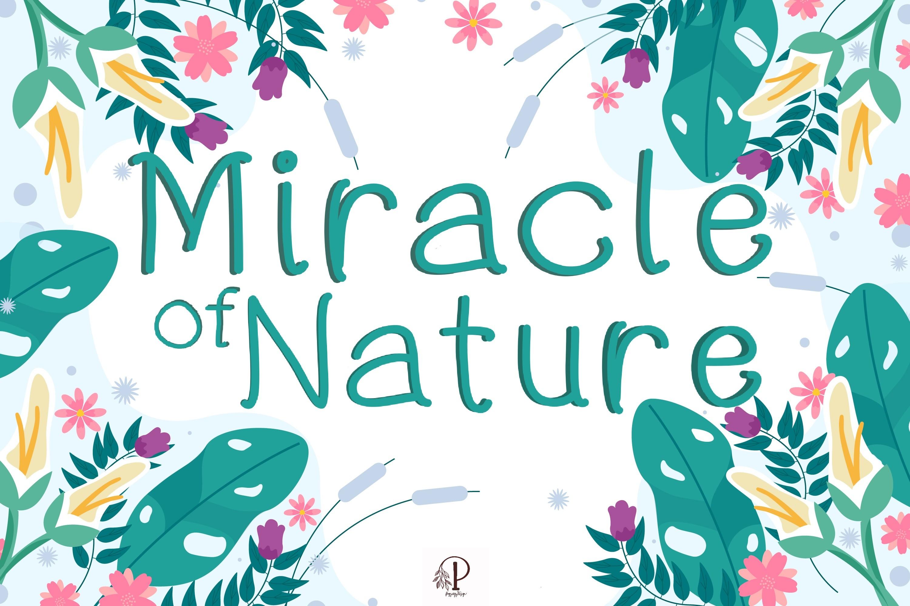 Miracle of Nature Font