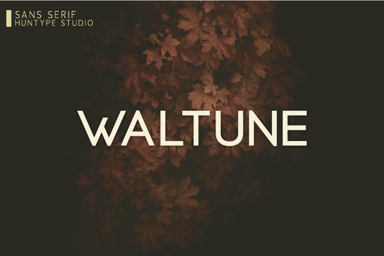 Waltune Font