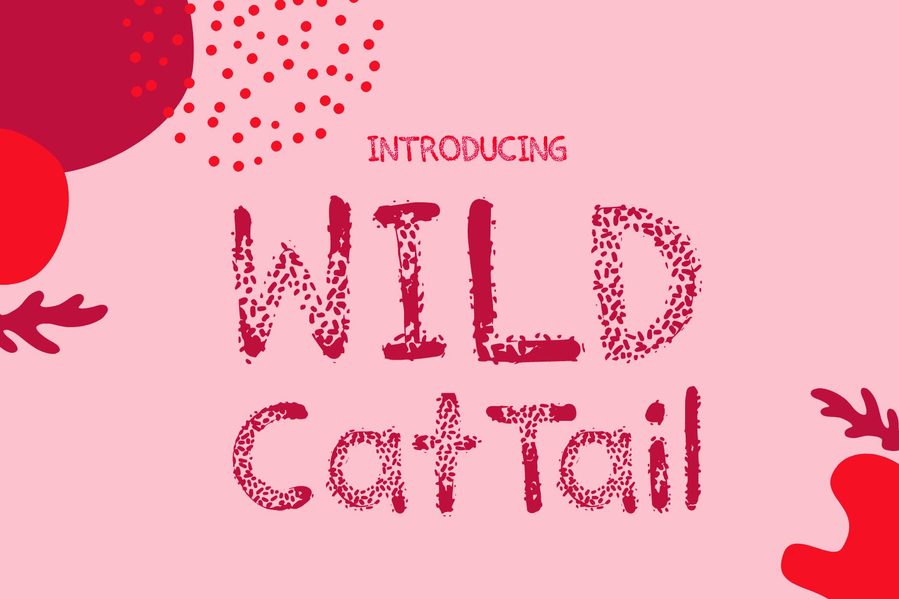 Wild Cat Tail Font