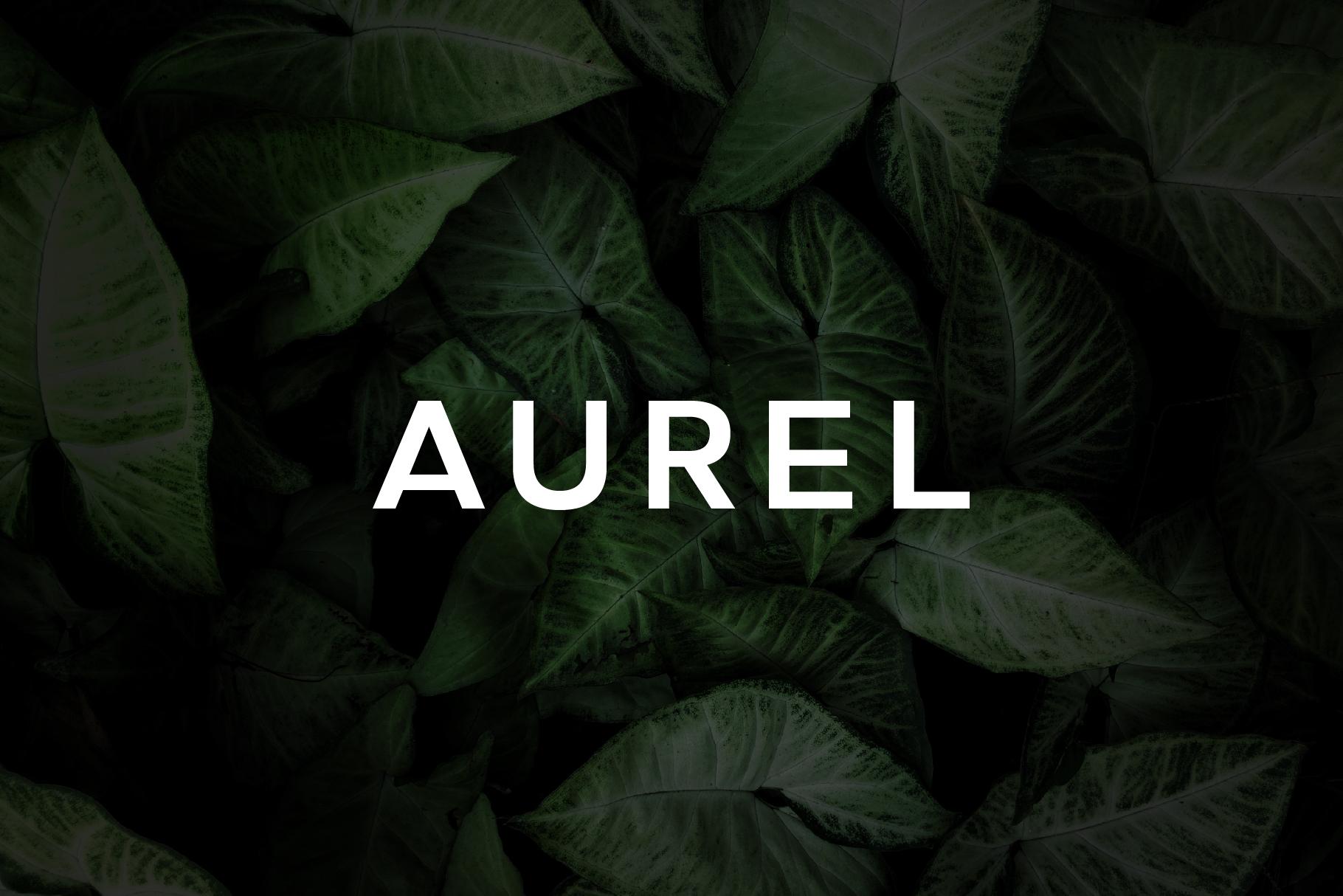 Aurel Font