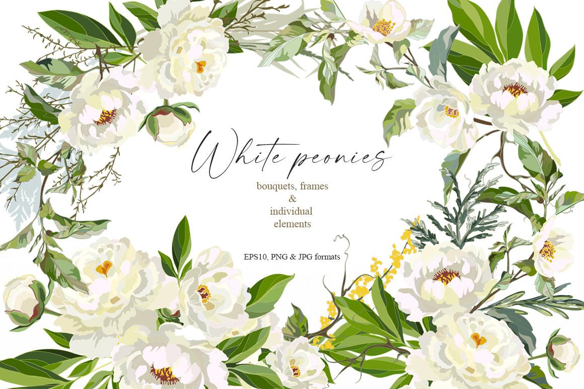 White Peonies