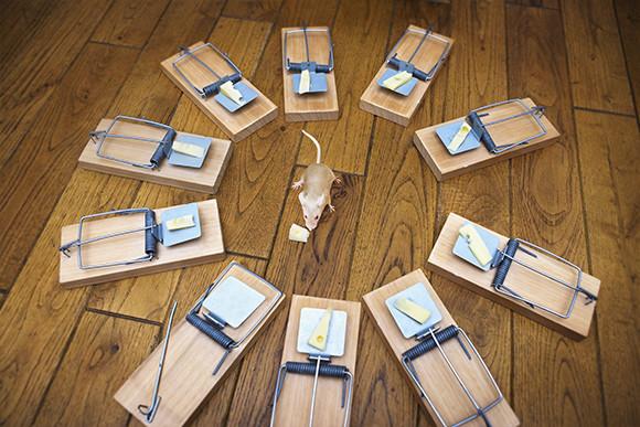 A Mouse Surrounded by Mouse Traps