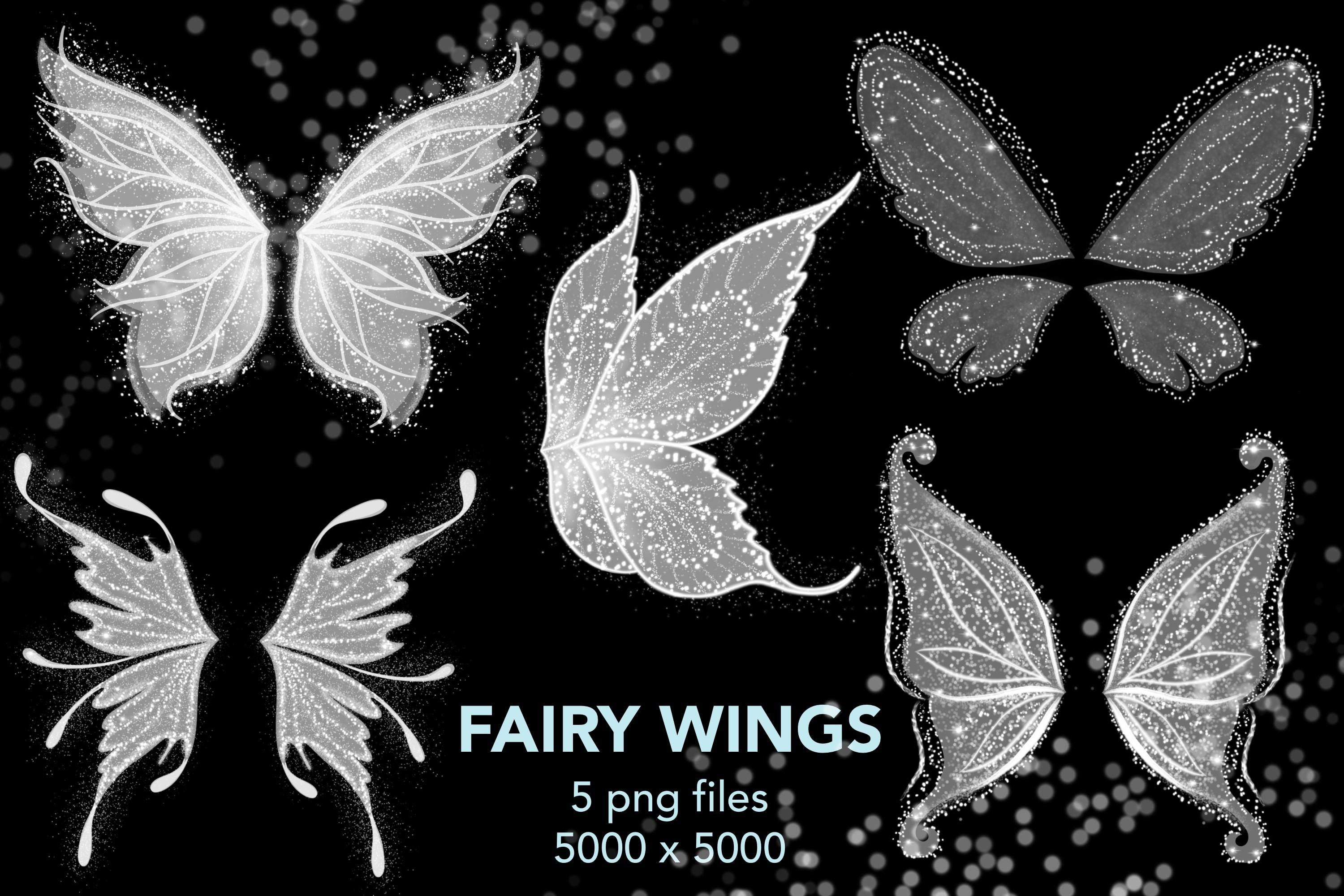Fairy Wings PNG Files.