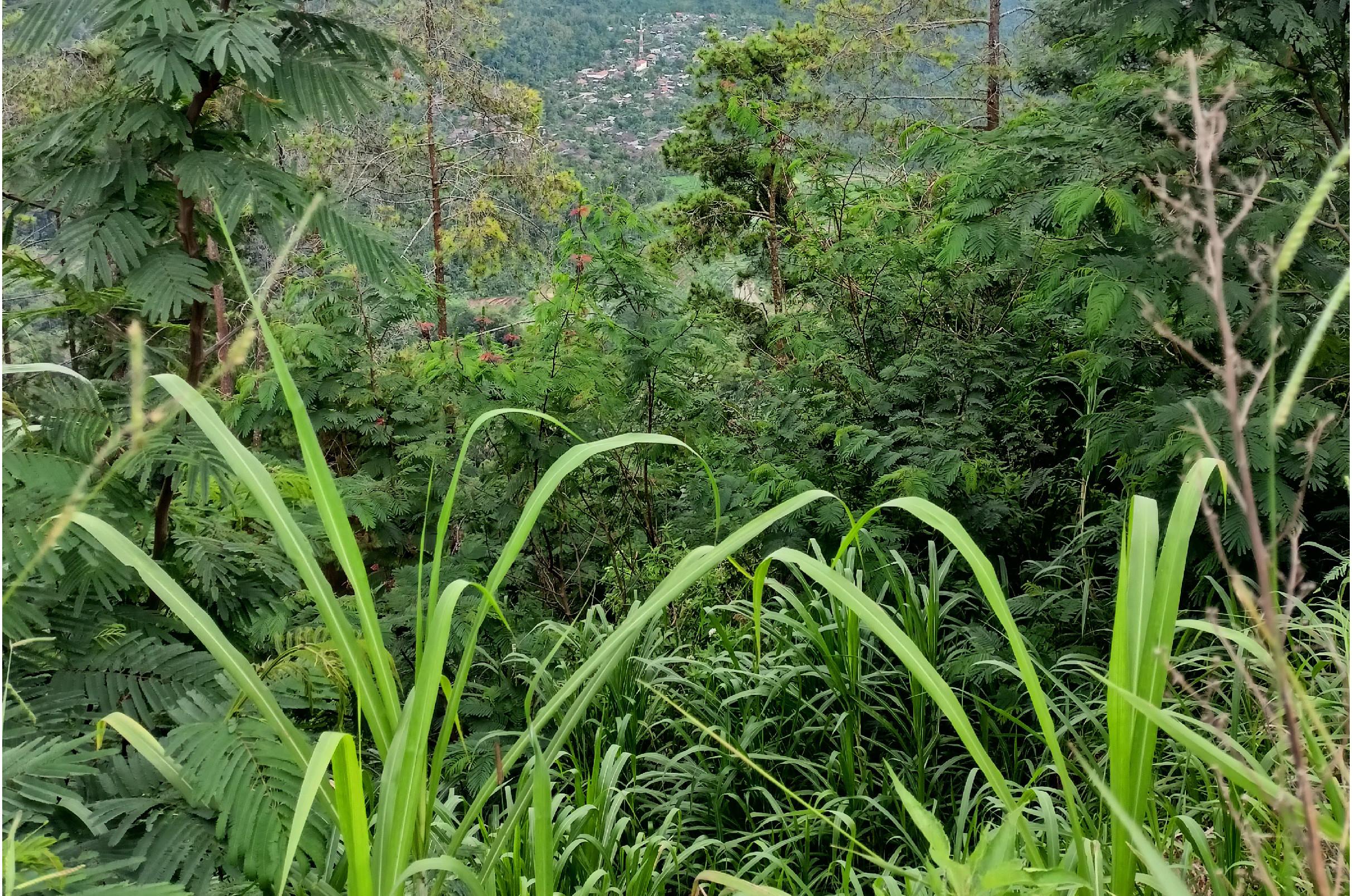 Landscape Photo