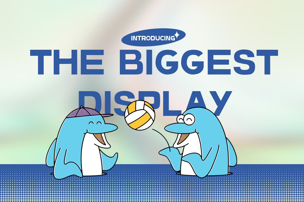 The Biggest Display Font