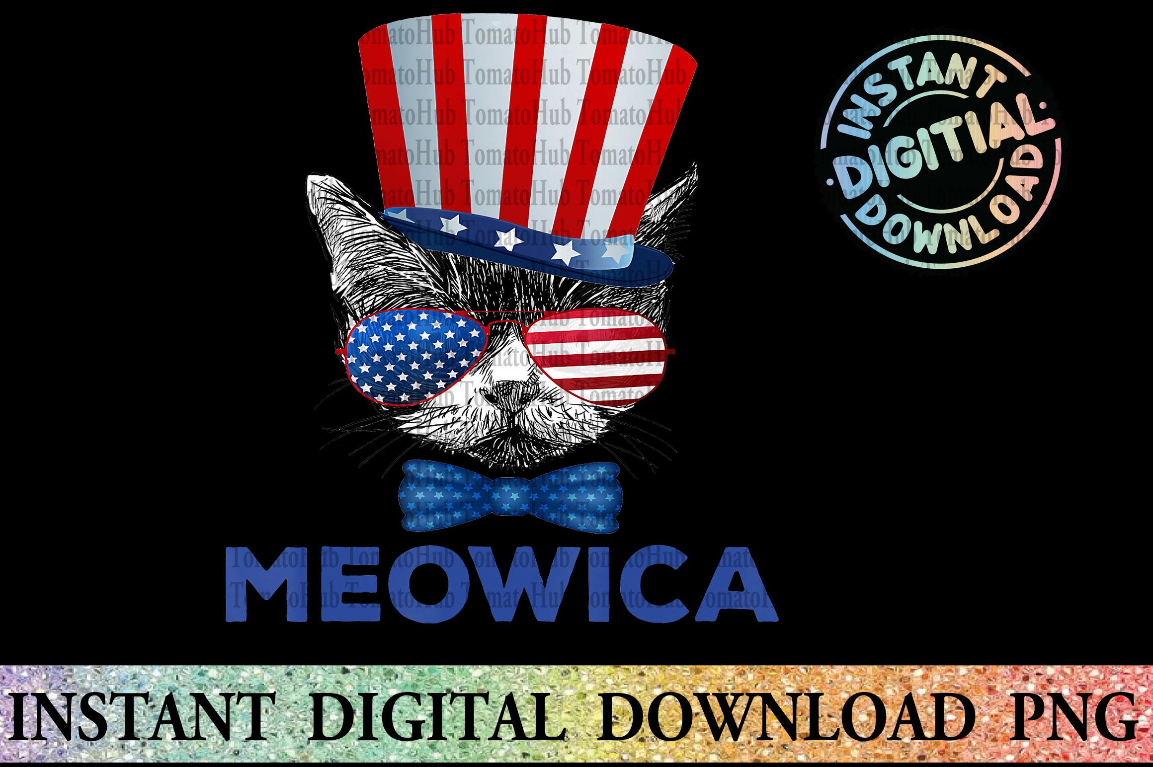 Cat American Meow 4rth of July PNG