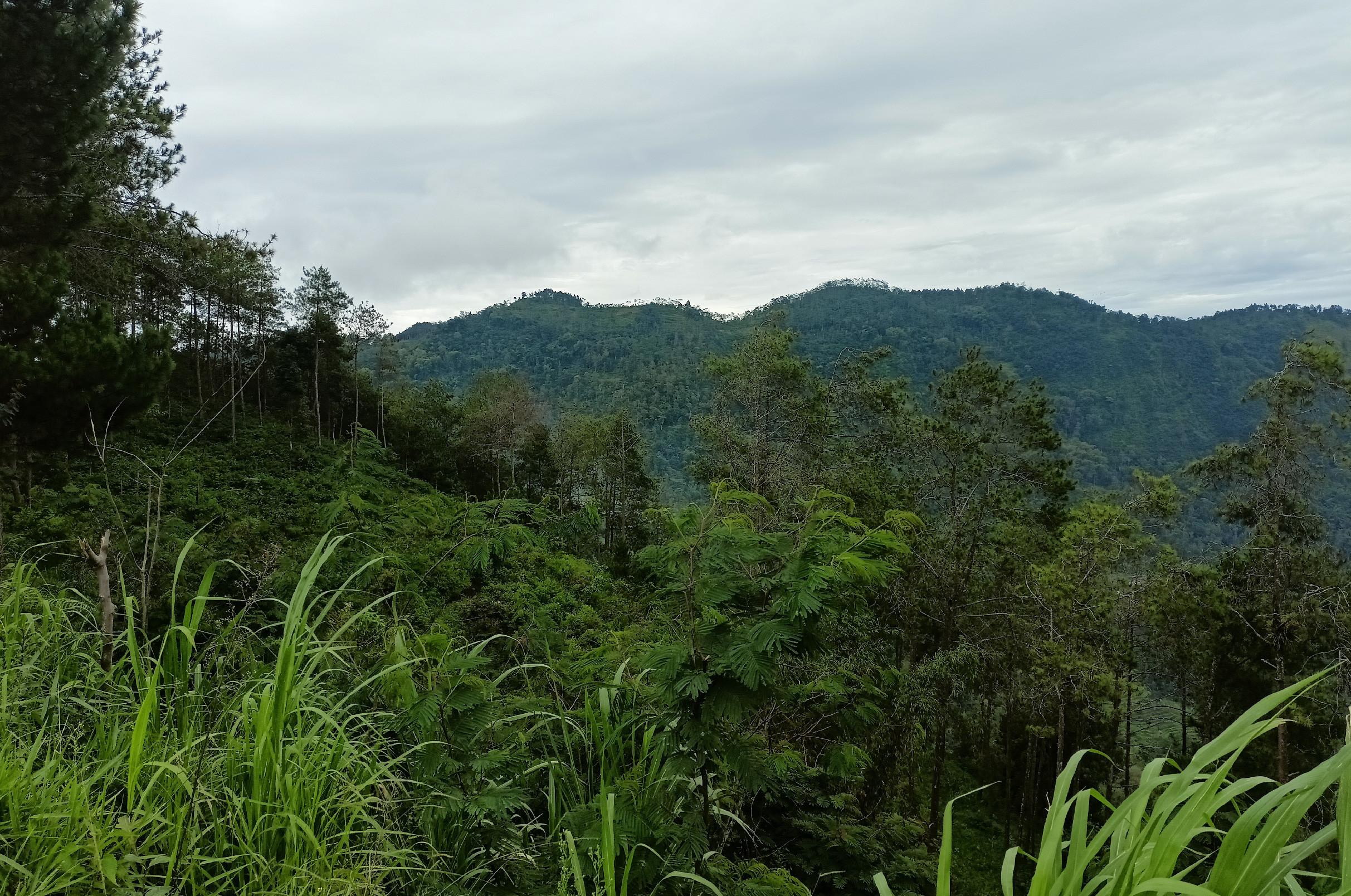 Landscape Photo