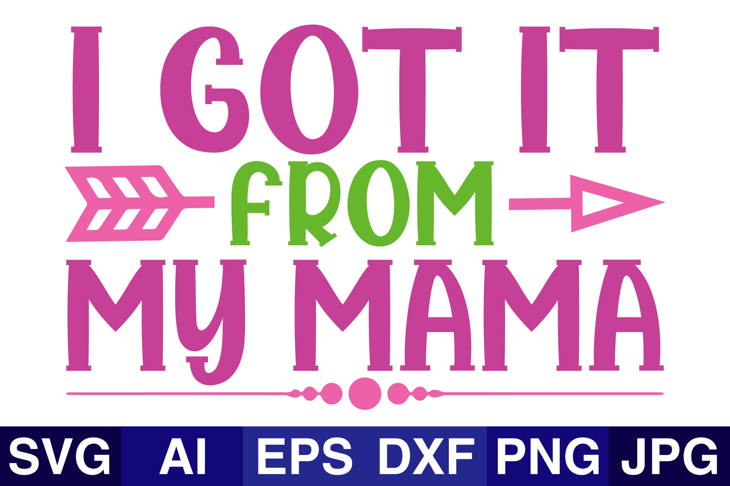 I_got_it_from_my_mama_3