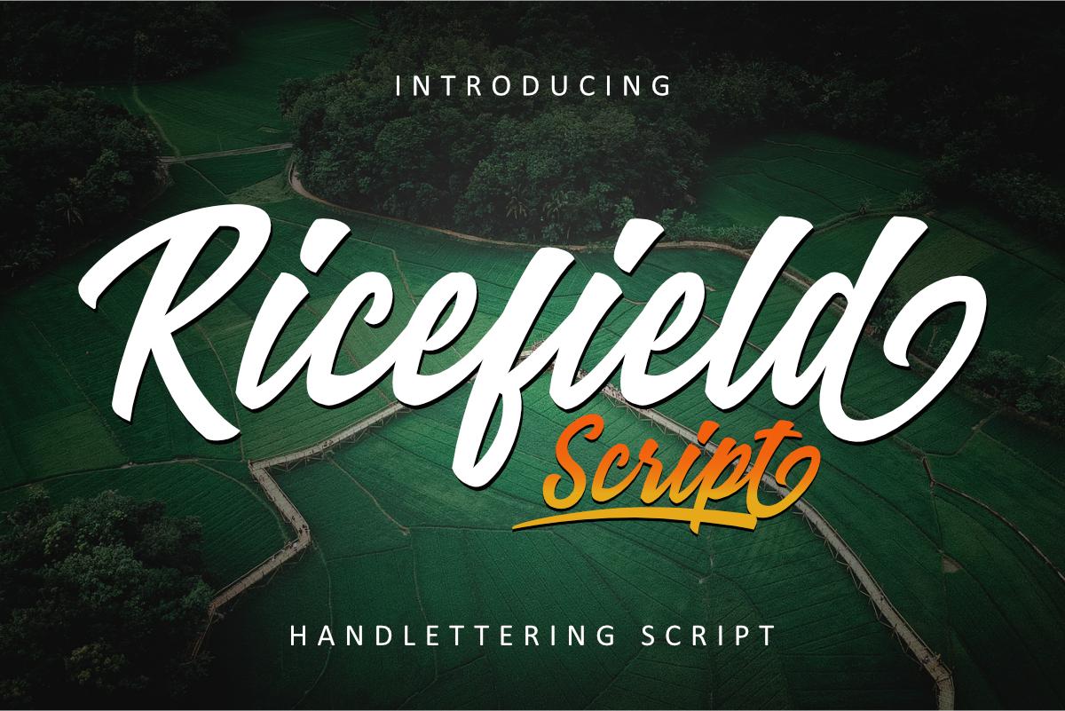 Ricefield Font