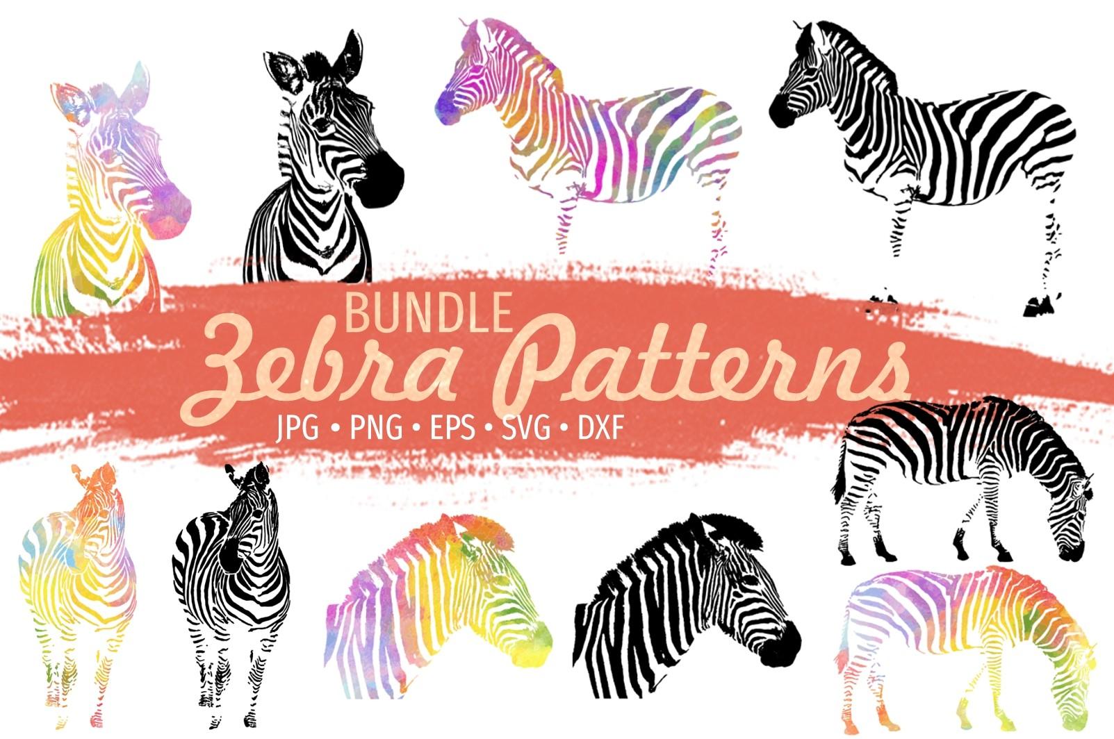 Zebra Art Bundle