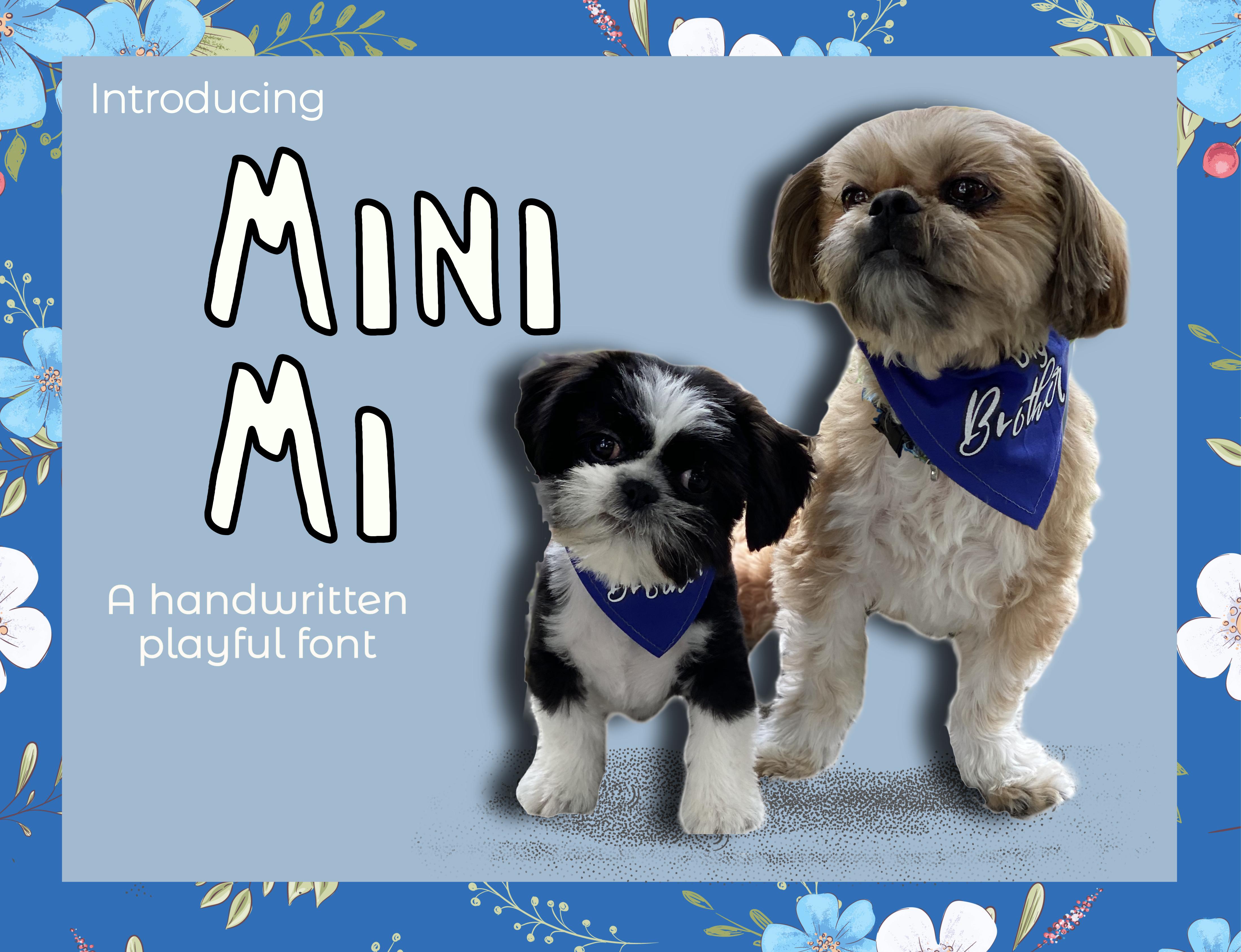 Mini Mi Font