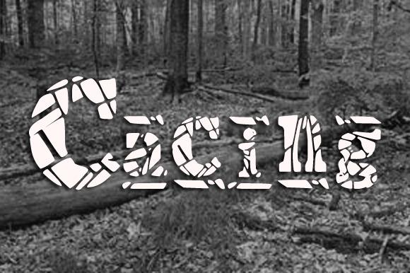 Cacing Font
