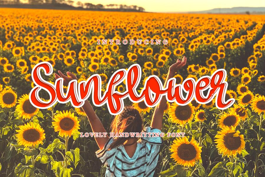 Sunflower Font
