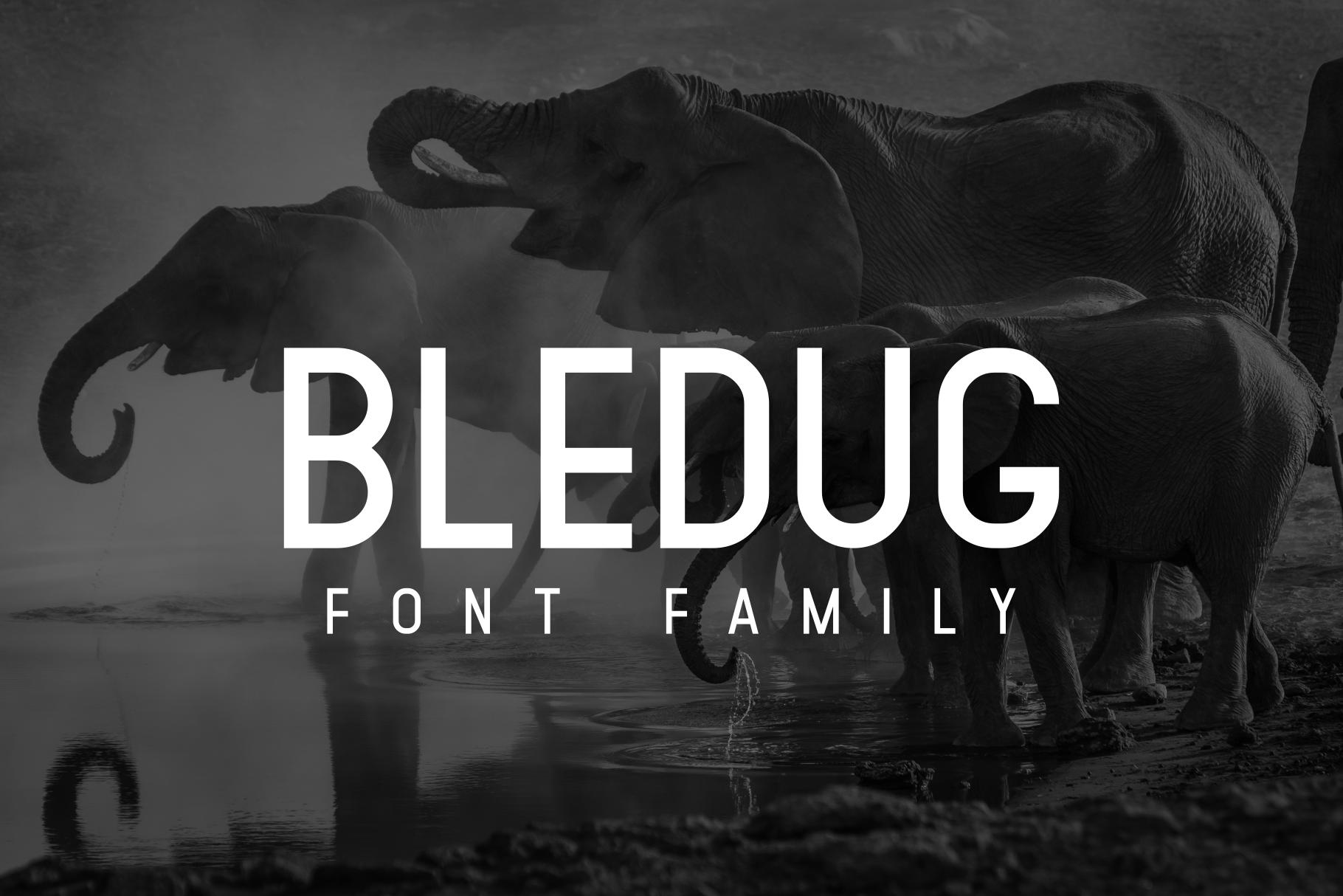 Bledug Family Font