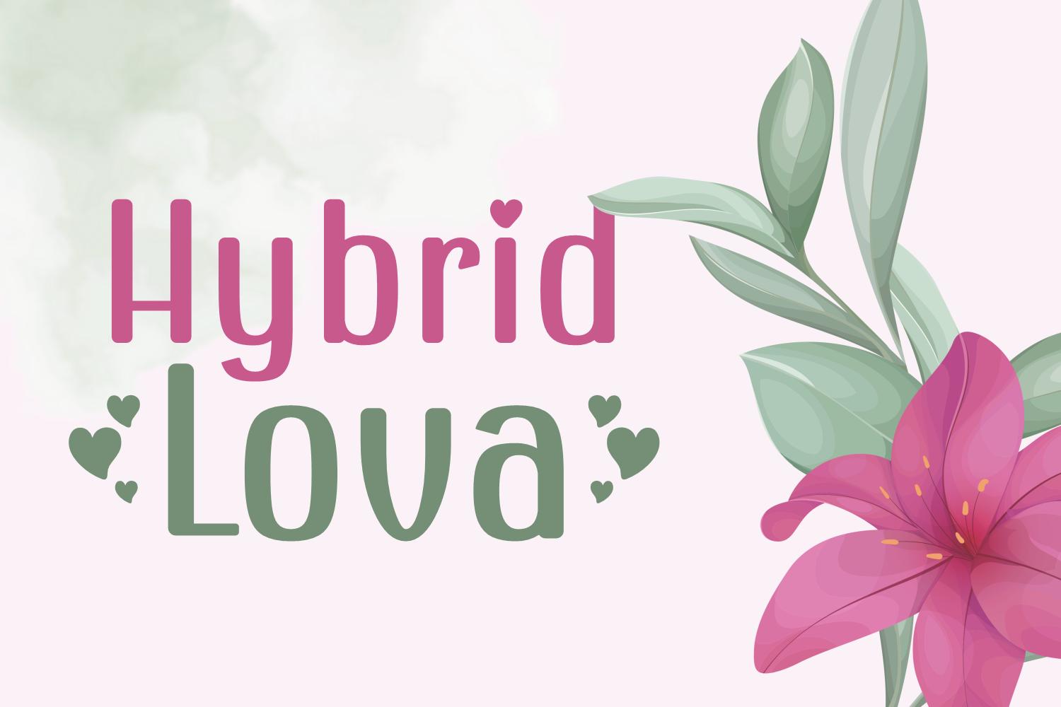Hybrid Lova Font
