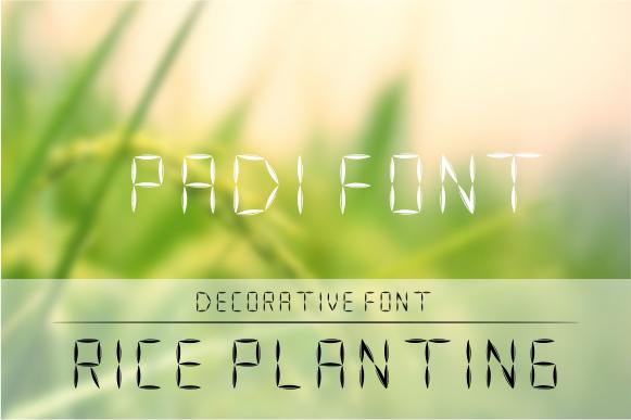 Padi Font