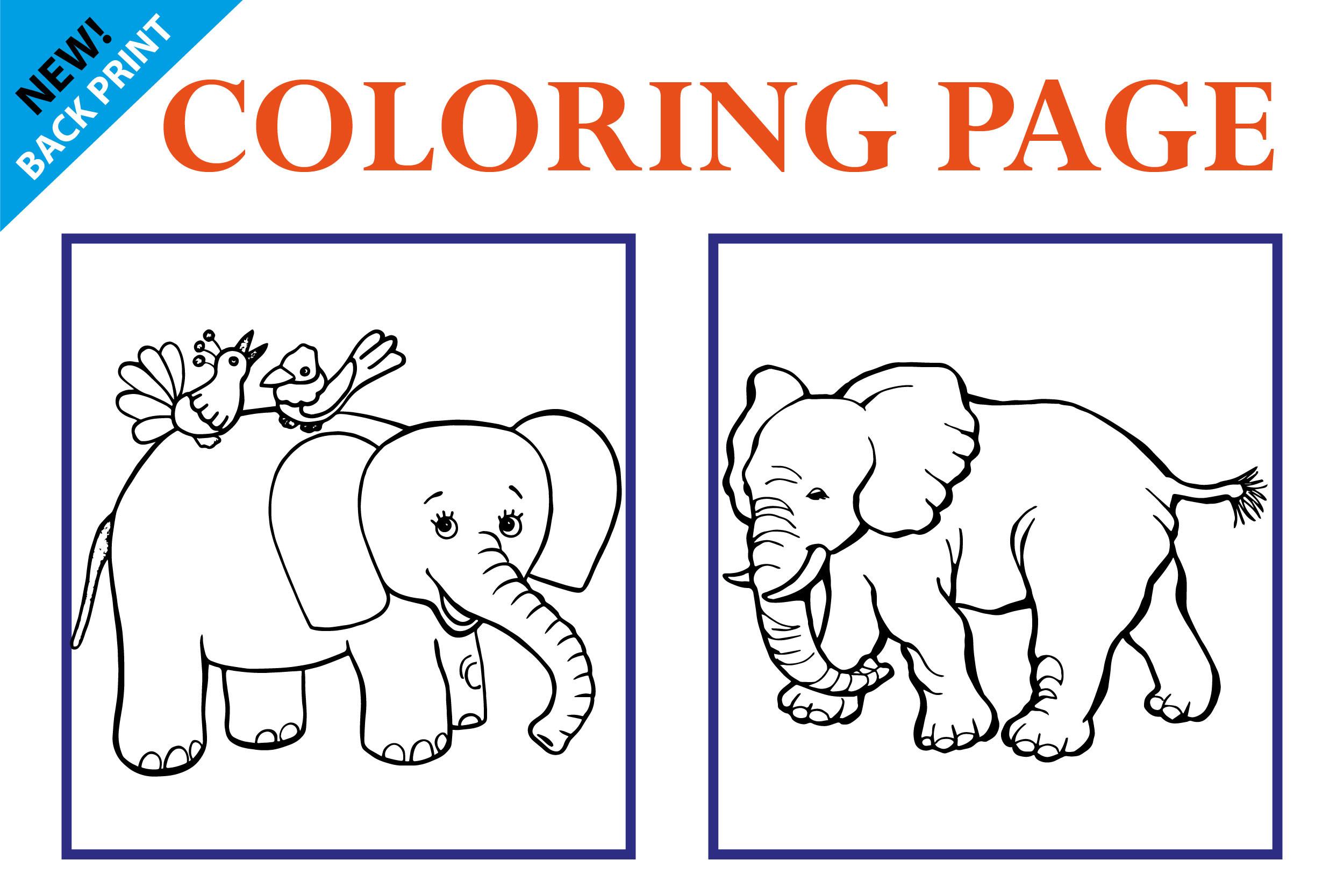 Elephant Coloring Book for Kid.