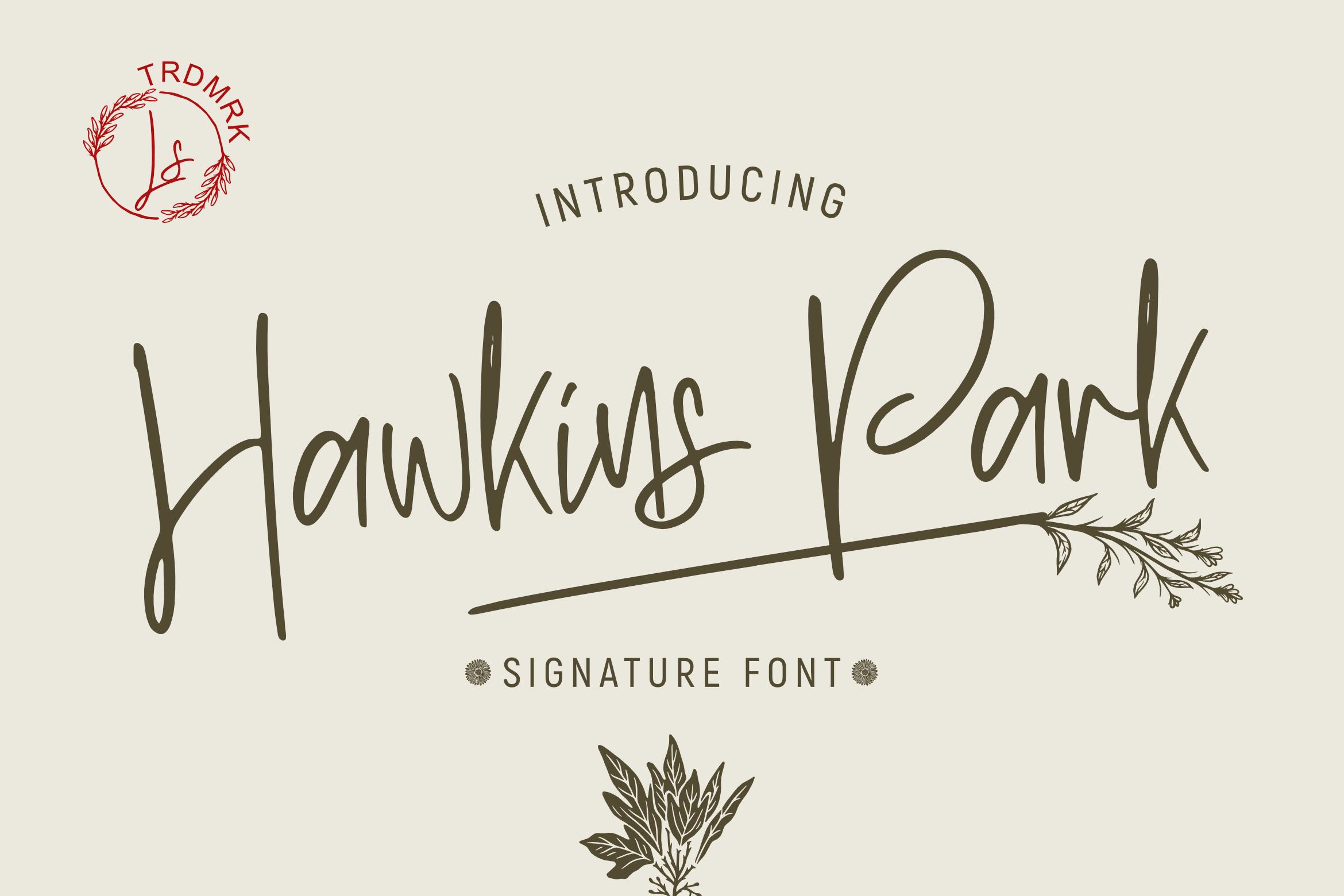 Hawkins Park Font