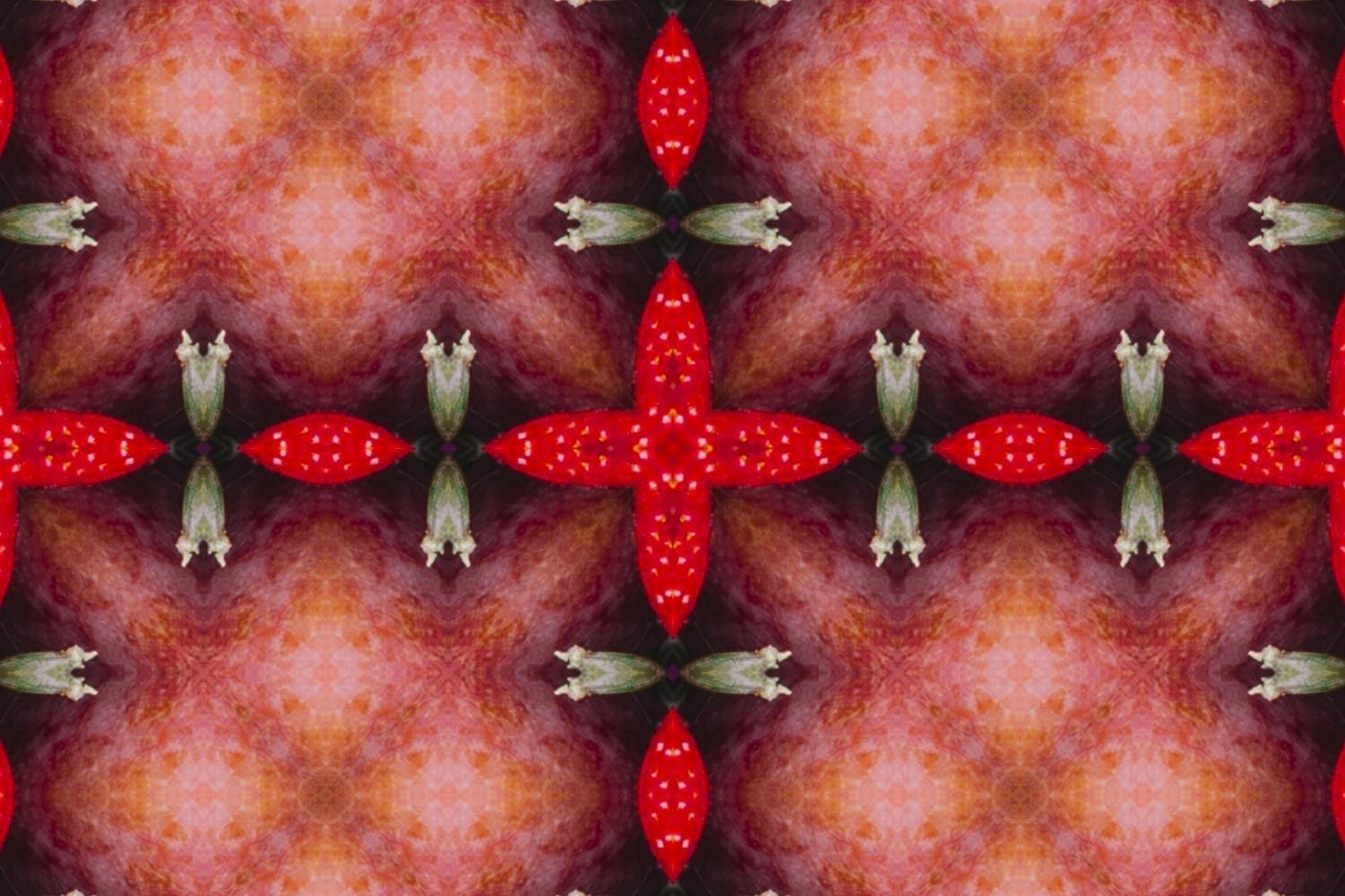 Fractal Batik