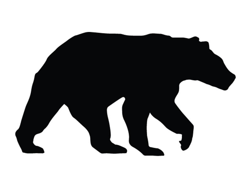 Black Bear