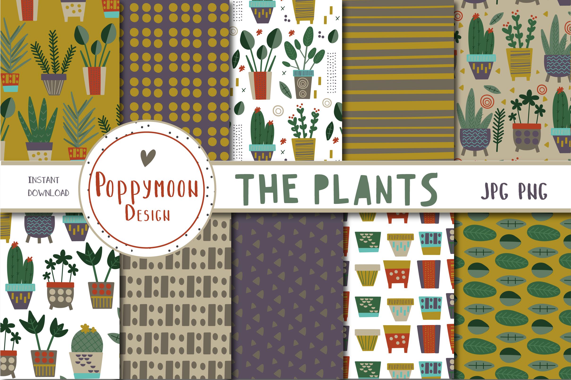 The Plants Paper Set
