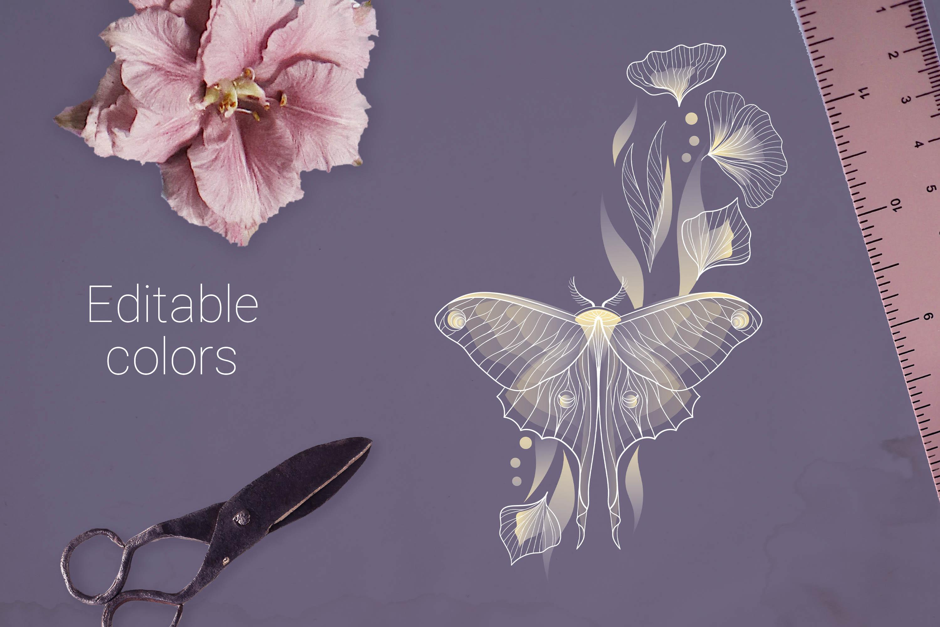 Butterfly Decorative Elements