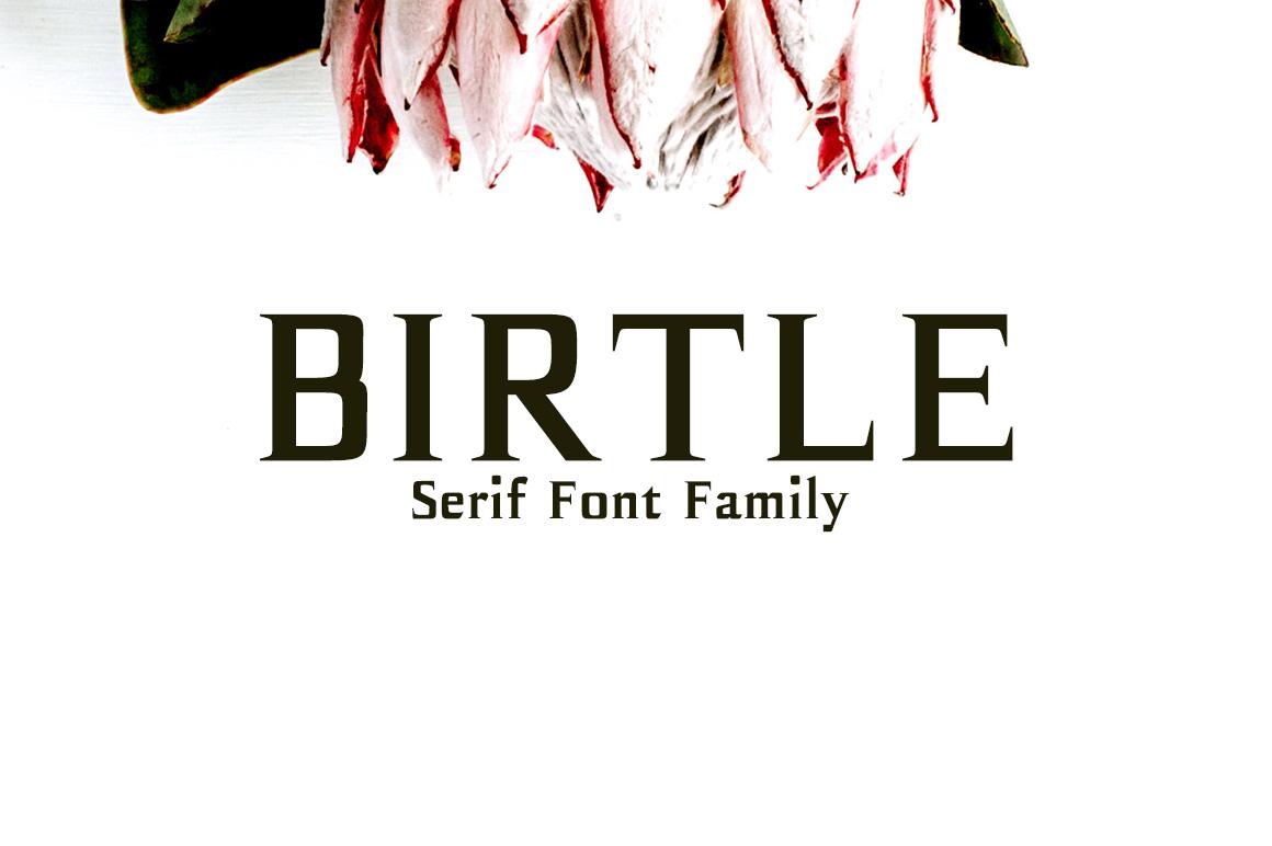 Birtle Font