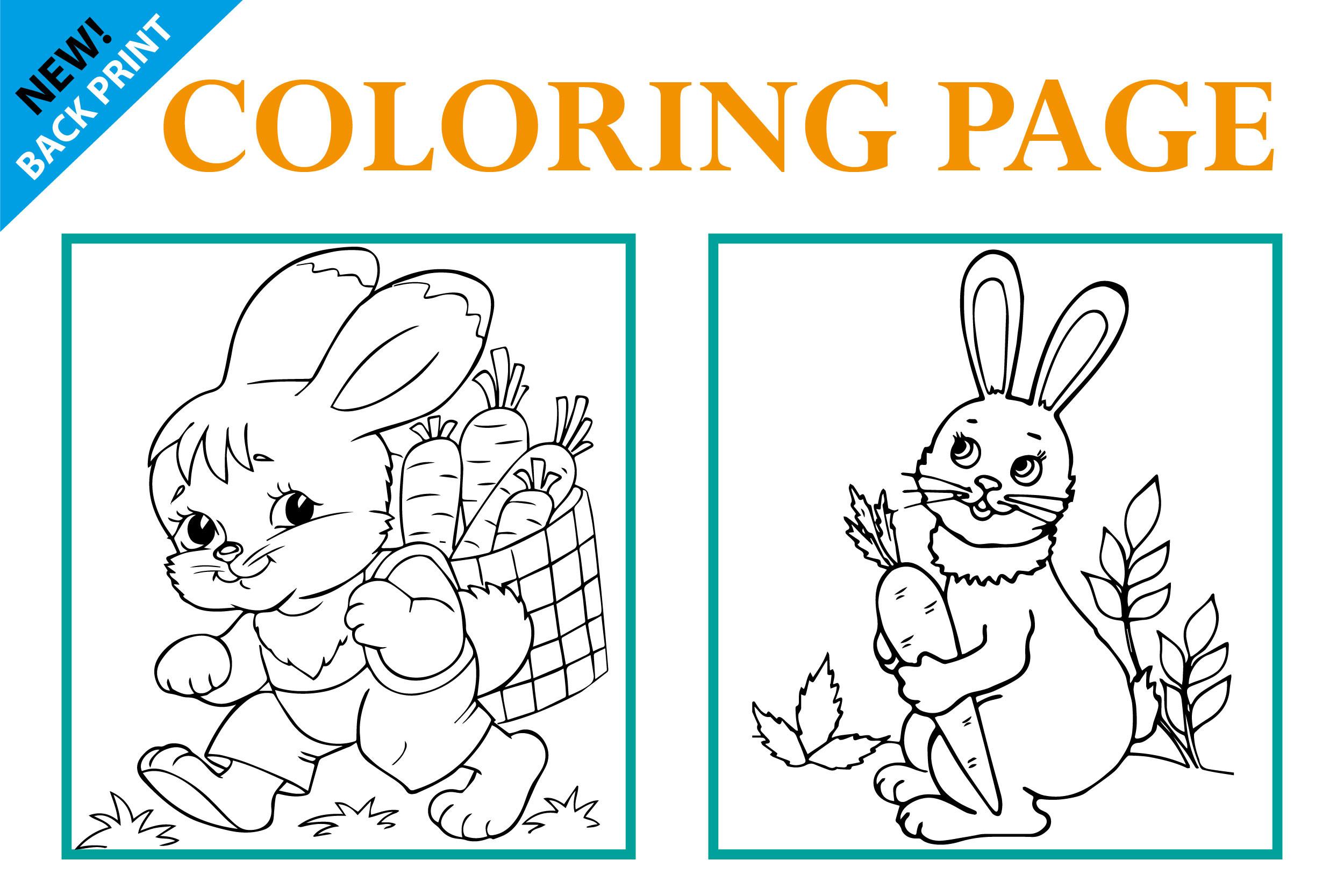 Rabbit Coloring Book for Kid