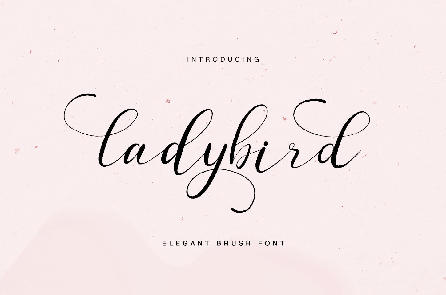 Ladybird Font
