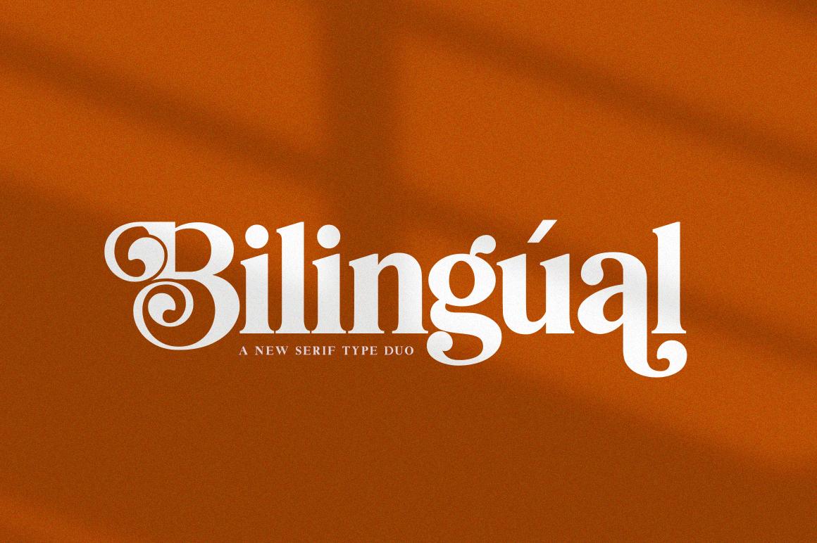 Bilingual Font