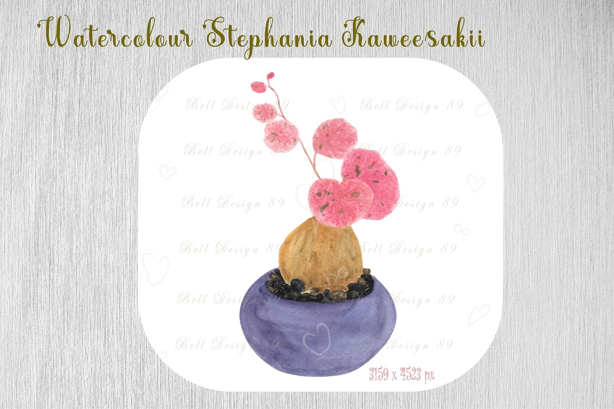 Watercolour House Plant Clipart