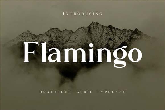Flamingo Font