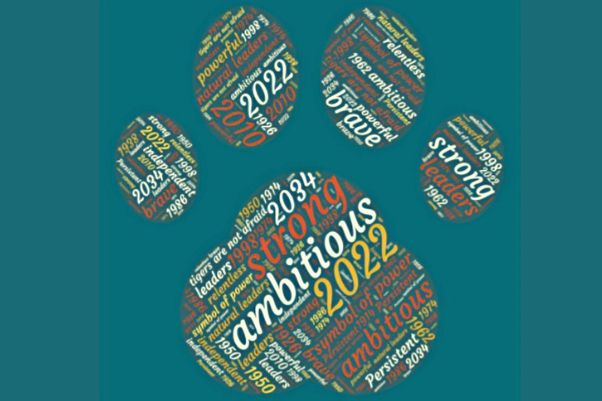 The Year of the Tiger Paw