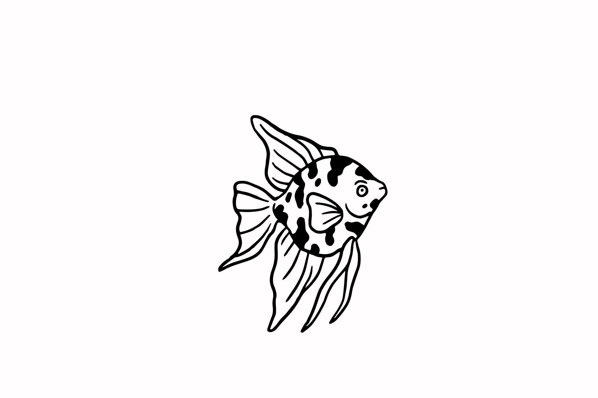 Fish Illustration