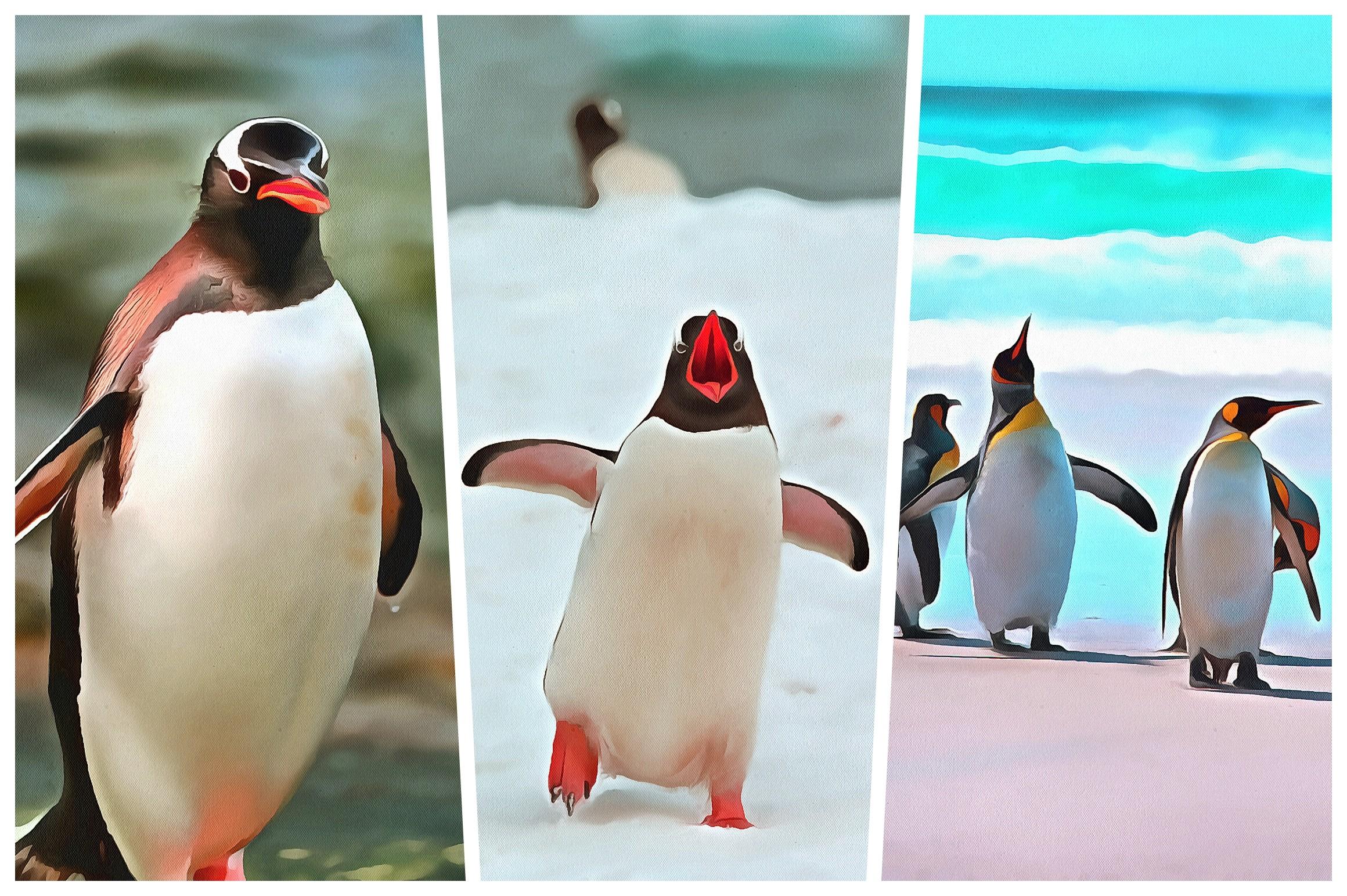 Penguin Watercolor Background
