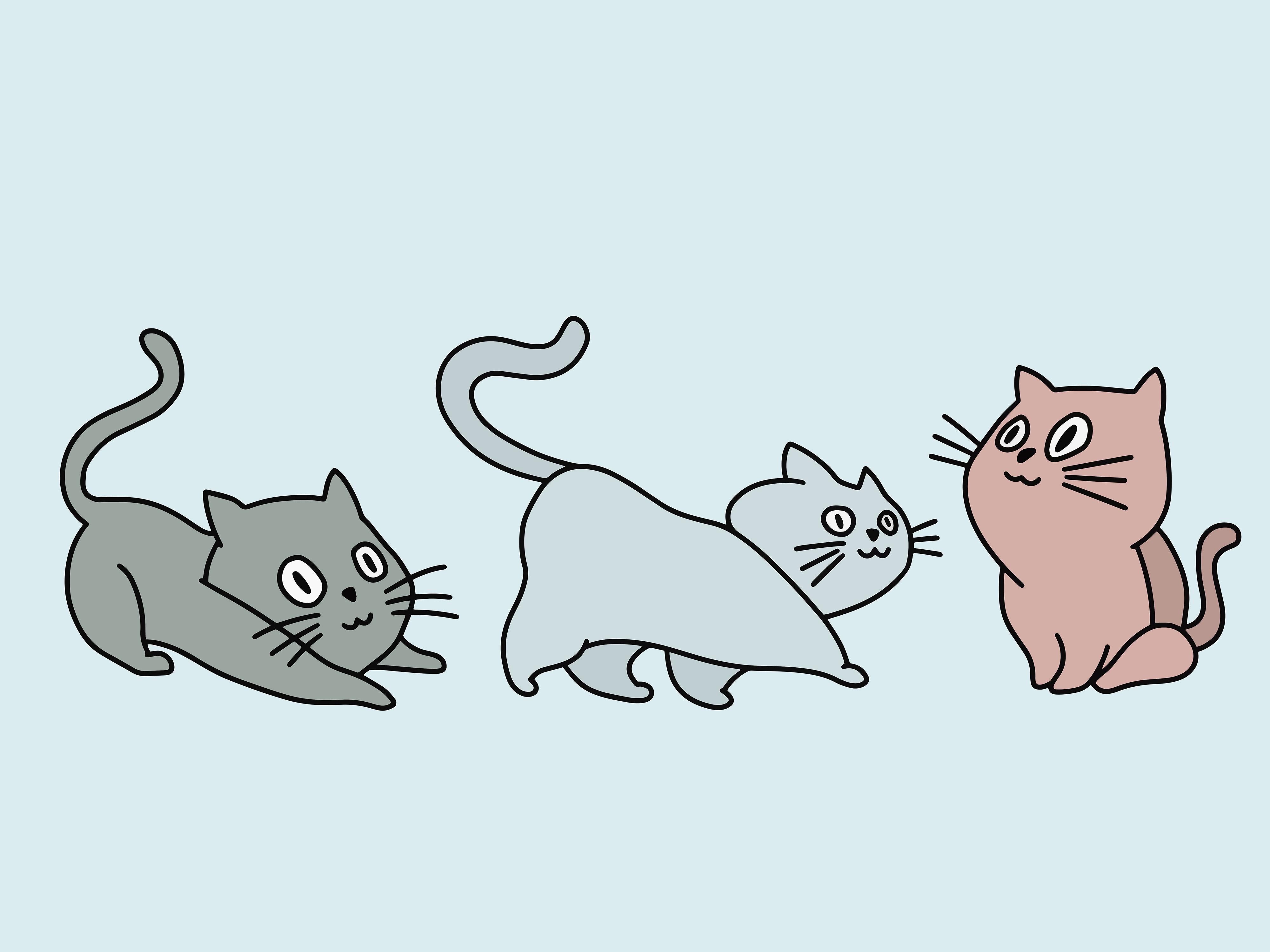 Set Cute Animal Cat Kitten Love Cartoon