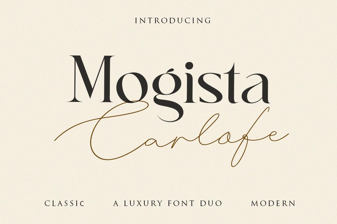 Mogista Carlofe Font