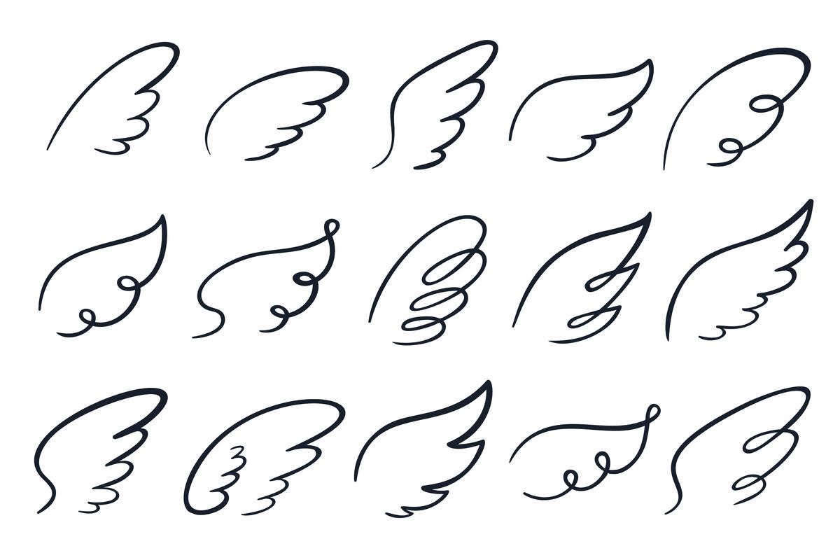Sketch Wings