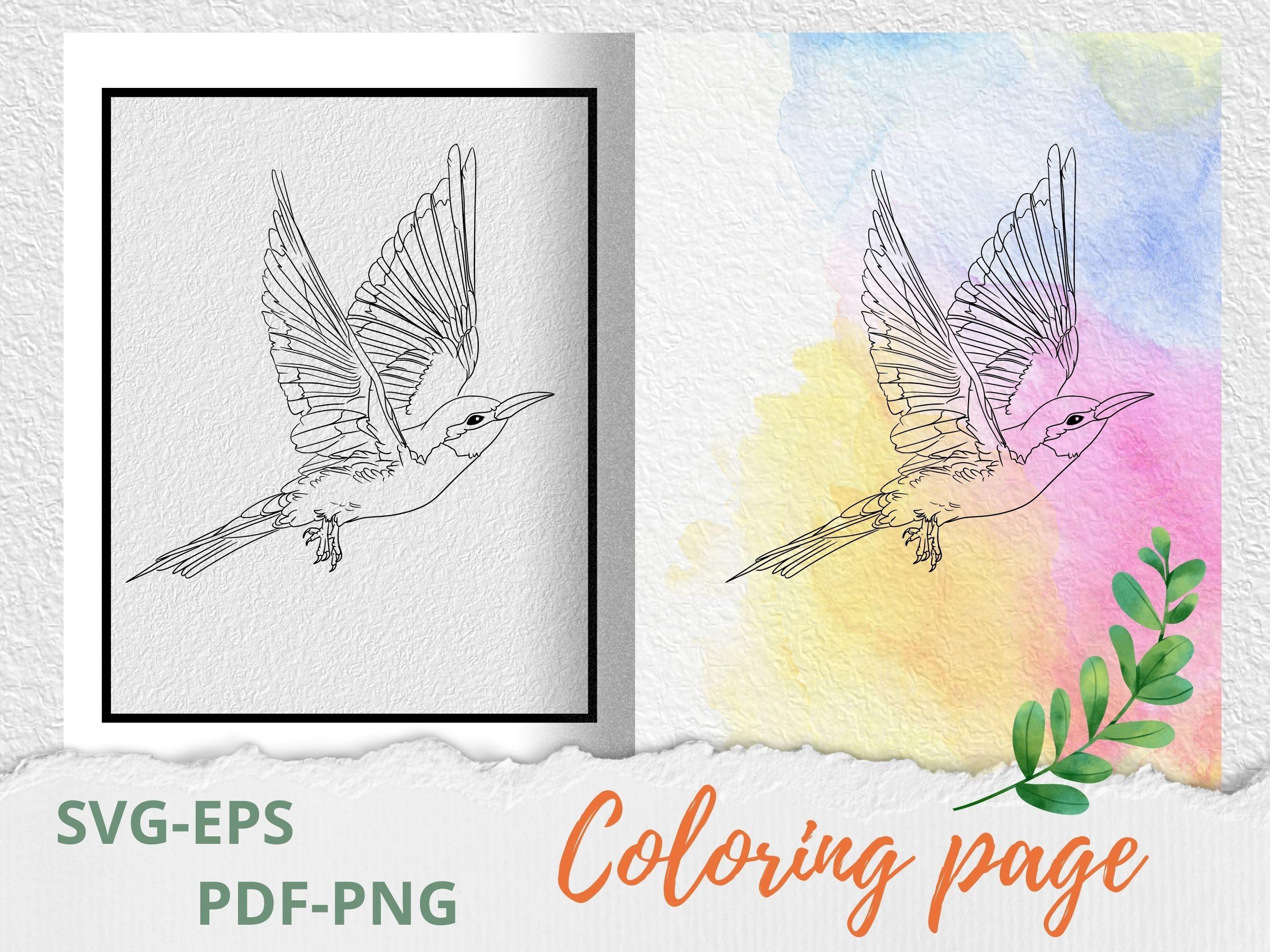 Bird Coloring Page SVG-Tattoo Stencil