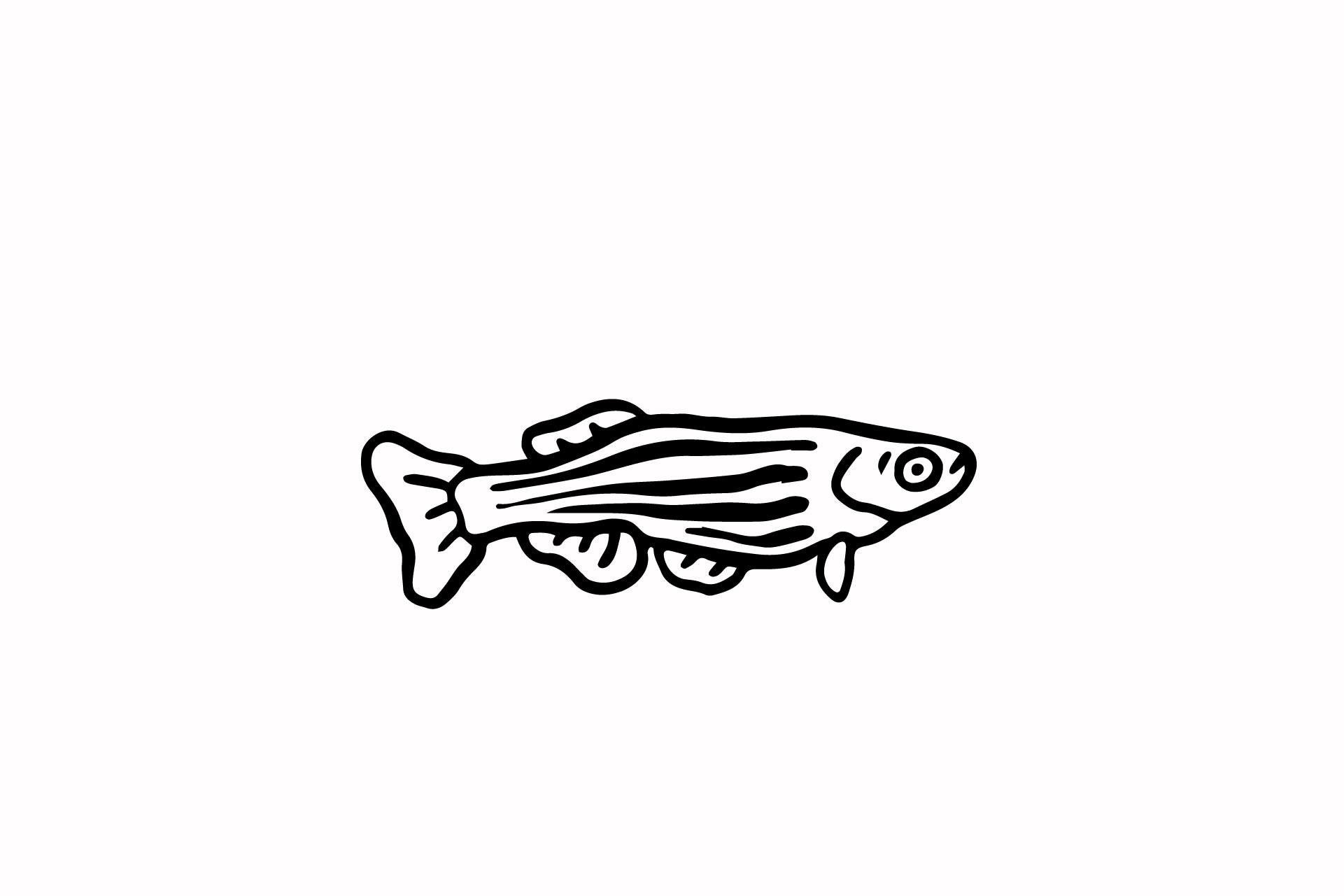 Fish Illustration