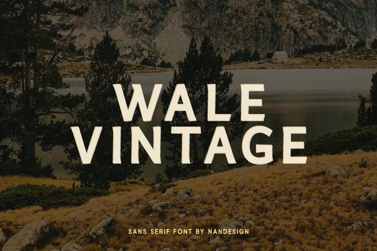 Wale Vintage Font