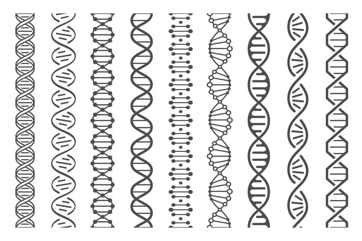 Seamless DNA Spiral