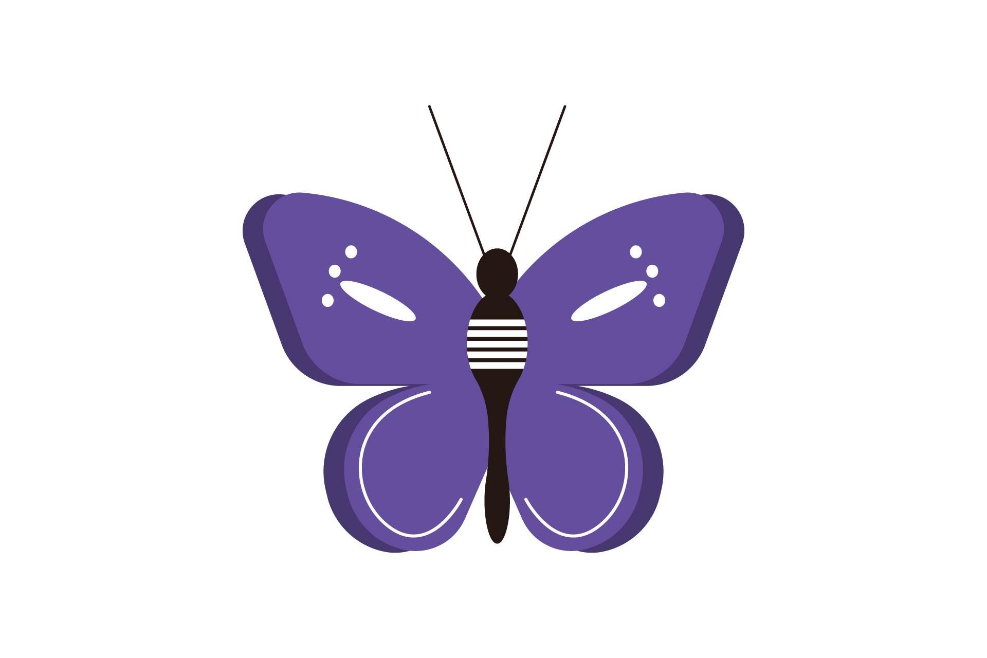Summer Butterfly Nature